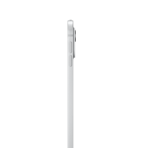 iPad Pro 13" w/Standard Glass 2024