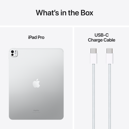 iPad Pro 13" w/Standard Glass 2024