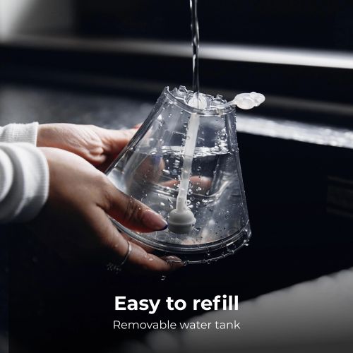 AENO Hand Garment Steamer GS1